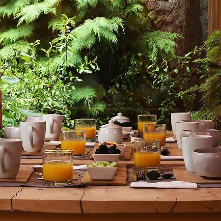 Raices Bed And Breakfast Coyhaique Exterior photo