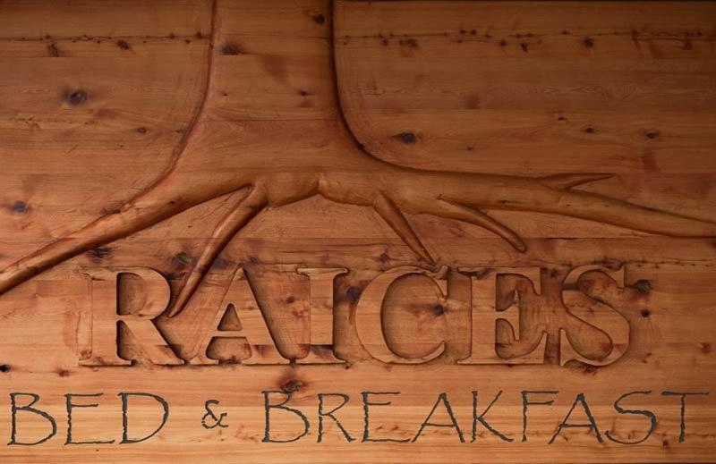 Raices Bed And Breakfast Coyhaique Exterior photo