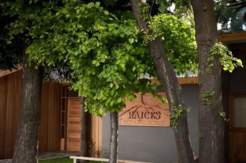 Raices Bed And Breakfast Coyhaique Exterior photo